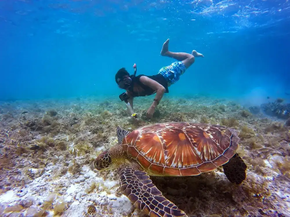 Snorkeler floating over a coral reef beside a private charter boat in clear South Florida water near Fort Lauderdale