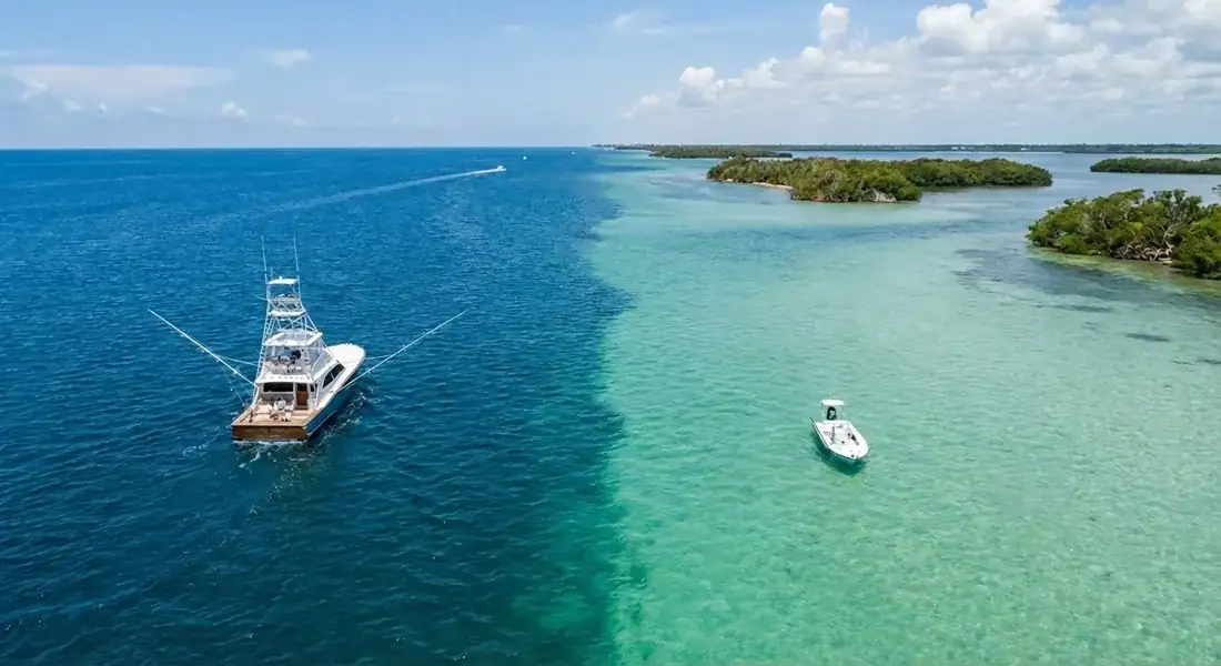 Guests aboard Don't Panic on a sandbar excursions trip in South Florida