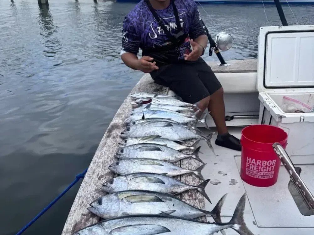 Bonito landed on a Don't Panic Sportfishing trip