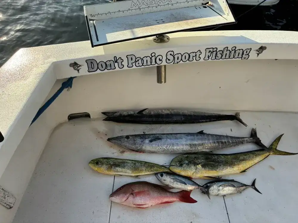 Snapper caught on a Don't Panic Sportfishing fishing trip off Pompano Beach