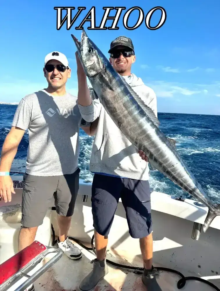 Wahoo caught on a Don't Panic Sportfishing fishing trip off Pompano Beach