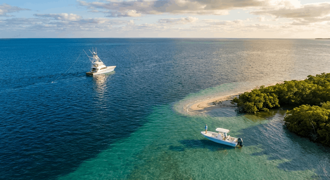 Offshore fishing in South Florida for your target species