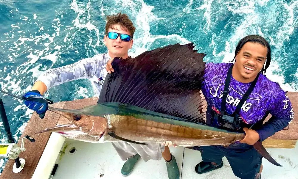 A variety of fish species caught on a South Florida fishing charter, including mahi-mahi, snapper, grouper, and sailfish