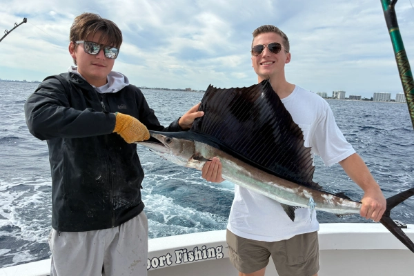 Offshore Sportfishing Charters